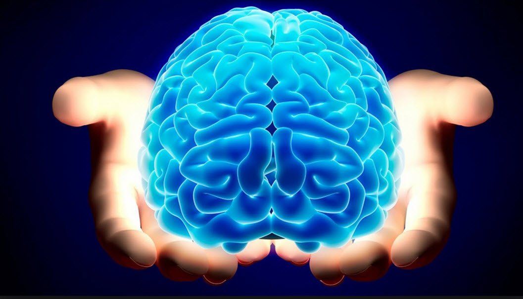 Inside Geek brain