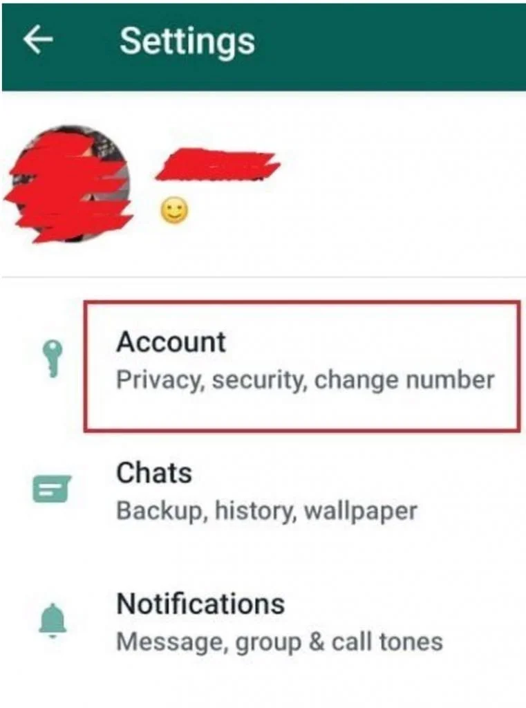 2. In the Accounts menu, select Privacy.