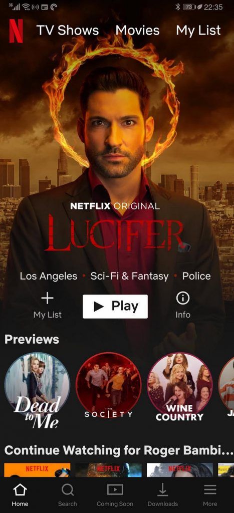 Netflix Subscriptions