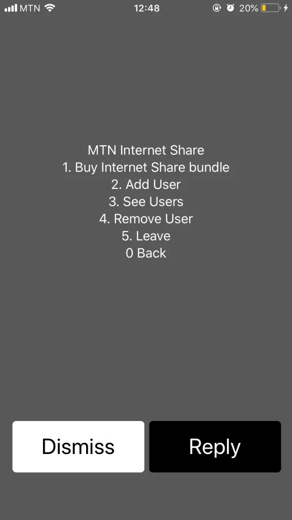 MTN Internet Share