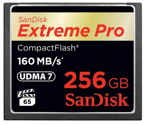 Have you ever dreamt of having a 256 GB Compact Flash card? Scan disk has one for you