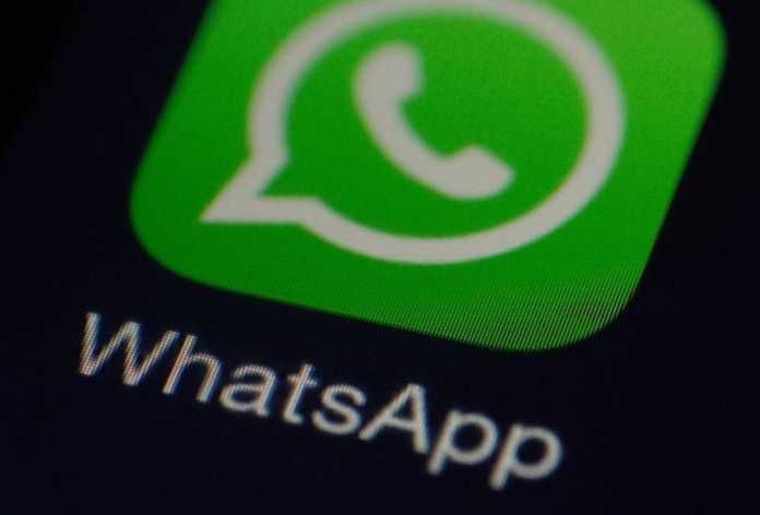 icon whatsapp