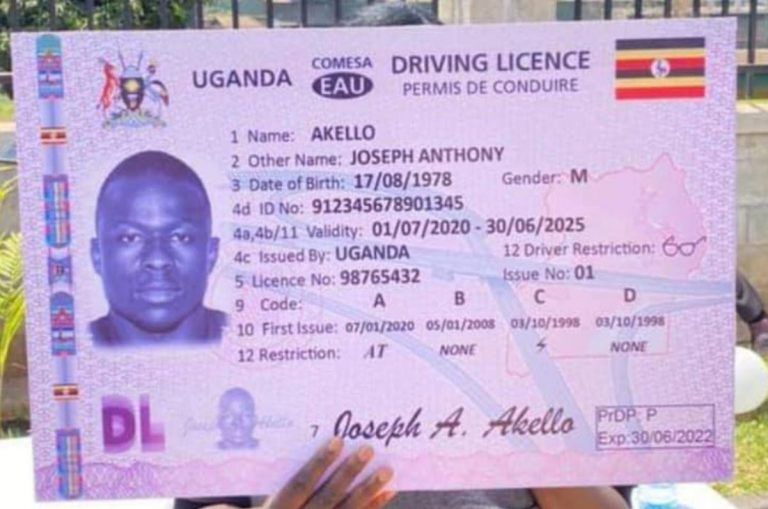 New Driving License rates