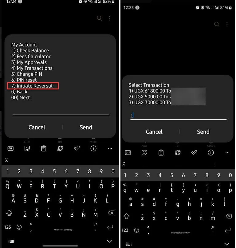 USSD prompt messages to reverse a mobile money payment